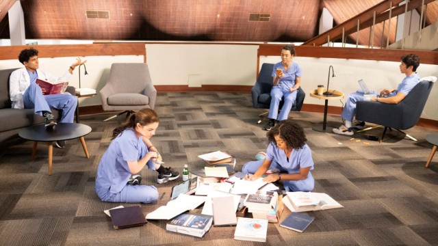 Greys Anatomy